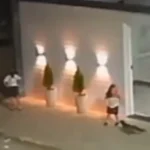 Momento em que criança é atacada por raposa