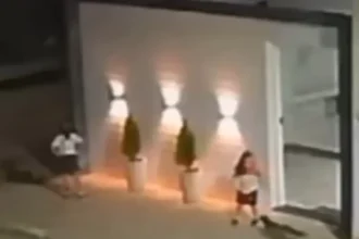 Momento em que criança é atacada por raposa