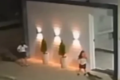 Momento em que criança é atacada por raposa