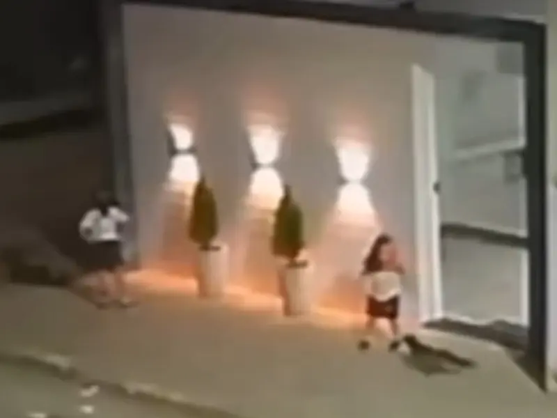 O caso raro de uma criança que foi atacada por uma raposa em Taquaritinga